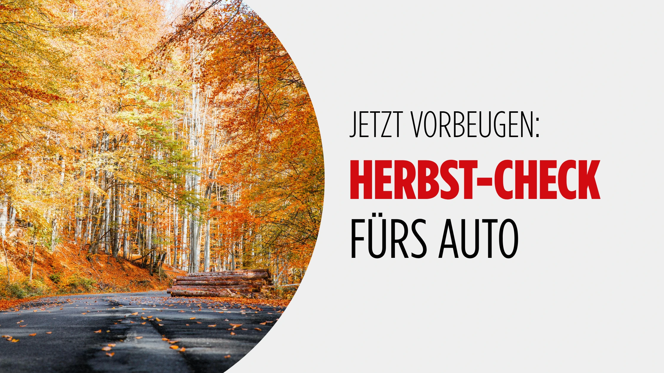 Herbst Check Blog Banner IV