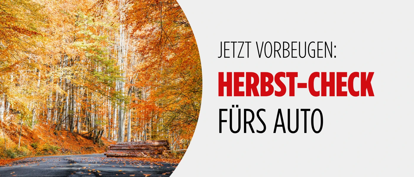 Herbst Check Blog Banner IV
