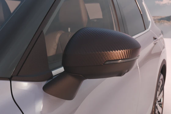 Seitenspiegelkappen, Carbon