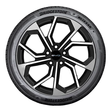 WR Alu 17, BR Blizzak 6 ENLITEN 215/60 R17 100V XL, LI