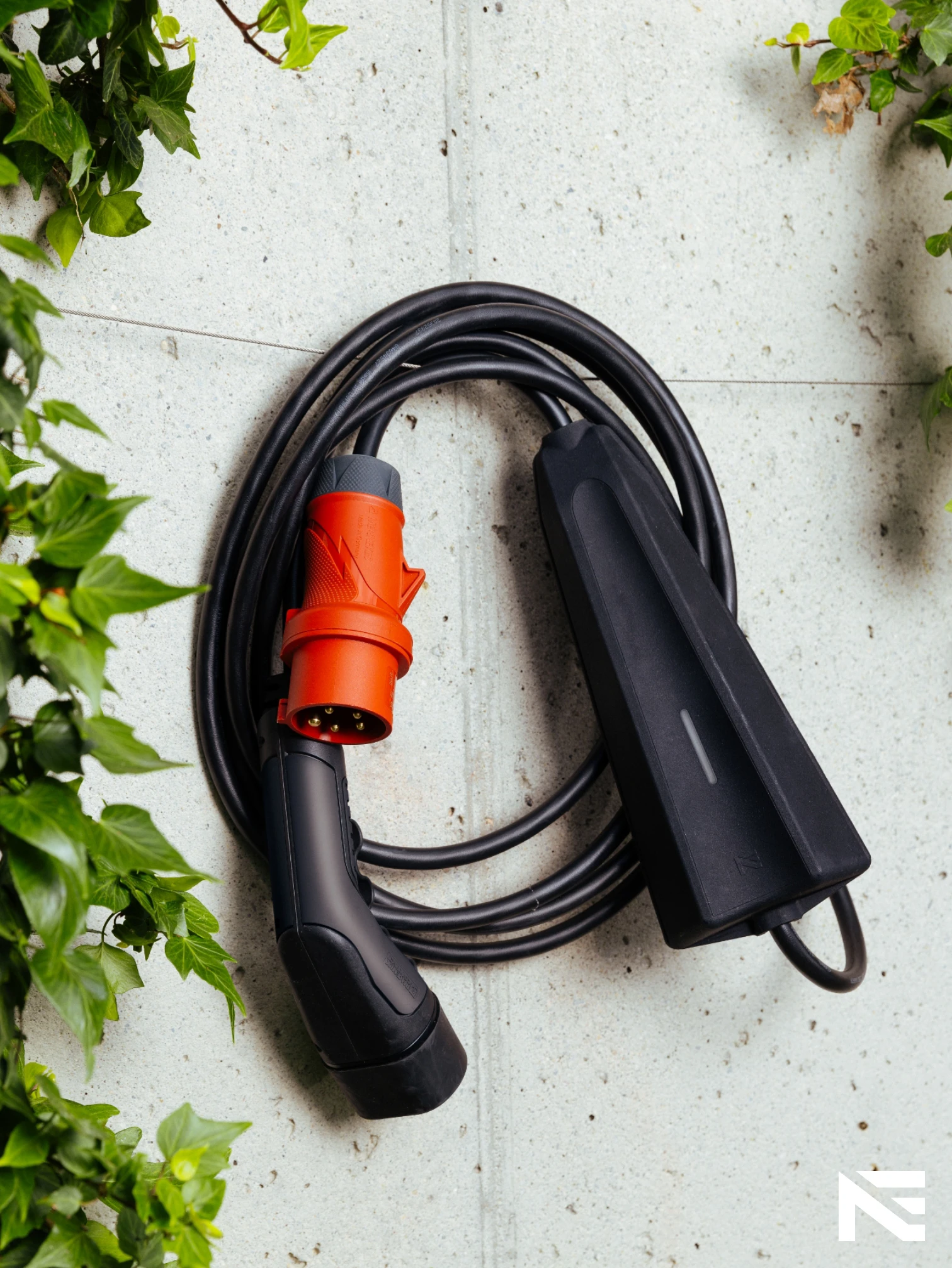 APNE20150419_b4 (11)