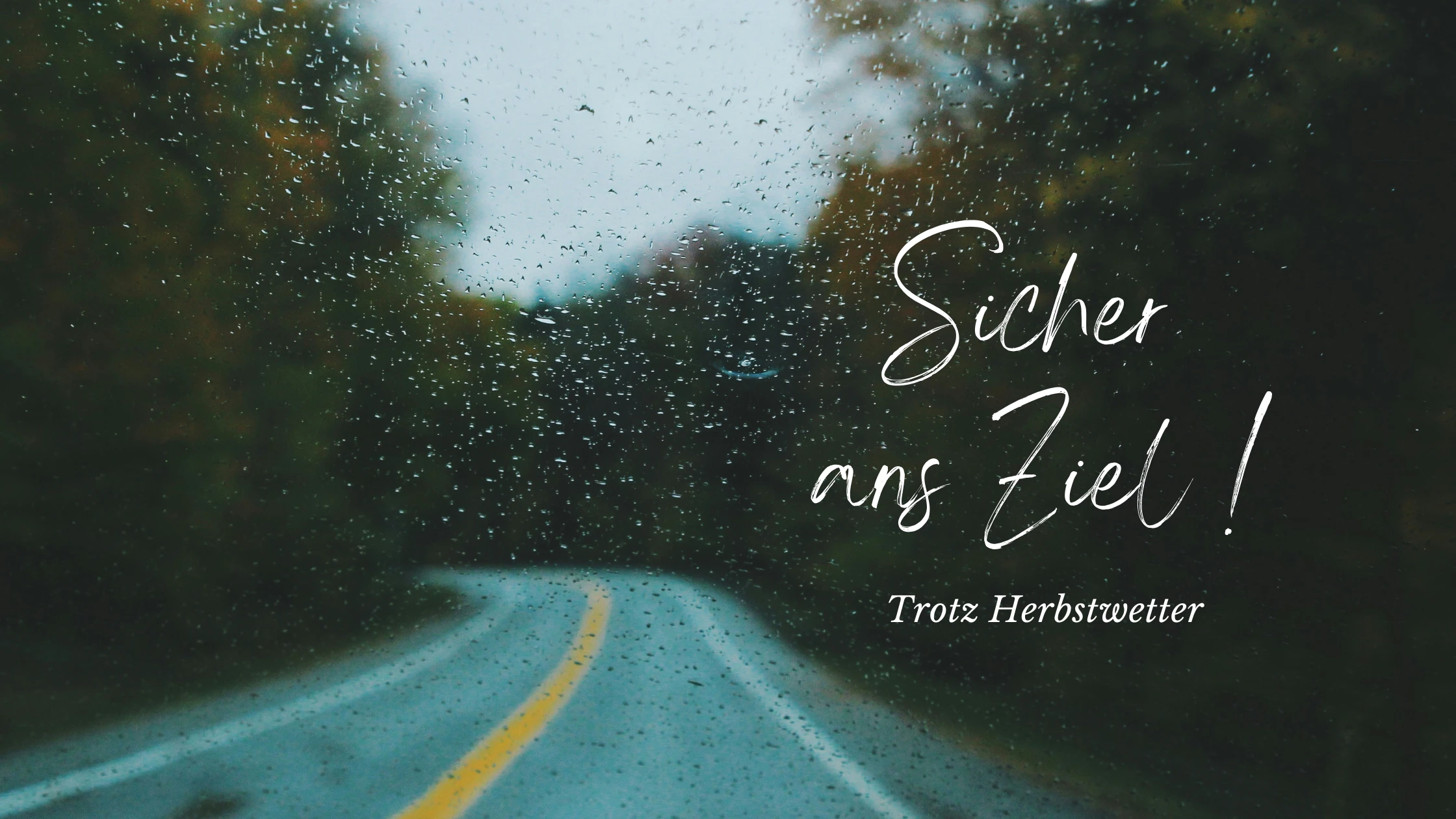 Regen, Laub & Nebel Blog Banner II