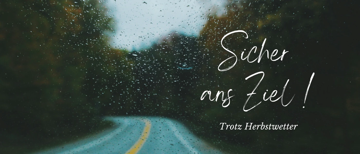 Regen, Laub & Nebel Blog Banner II