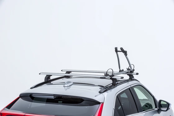 Fahrradträger Stahl (18)