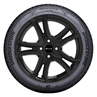 WR Alu 15, BR Blizzak LM005 175/65 R15 88T XL, RE