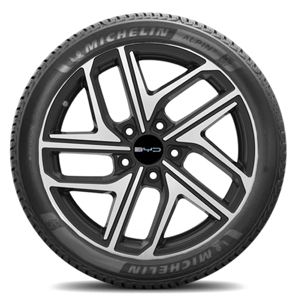 WR Alu 18, Michelin Alpin 7 215/50 R18 96V, LI (2)