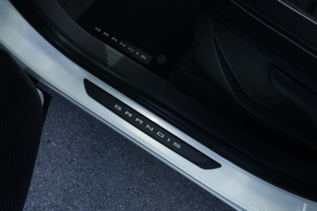 Einstiegsleisten, Edelstahl