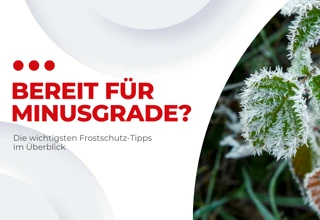 Frostschutz für Ihr Auto: Diese 5 Maßnahmen sollten Sie jetzt ergreifen