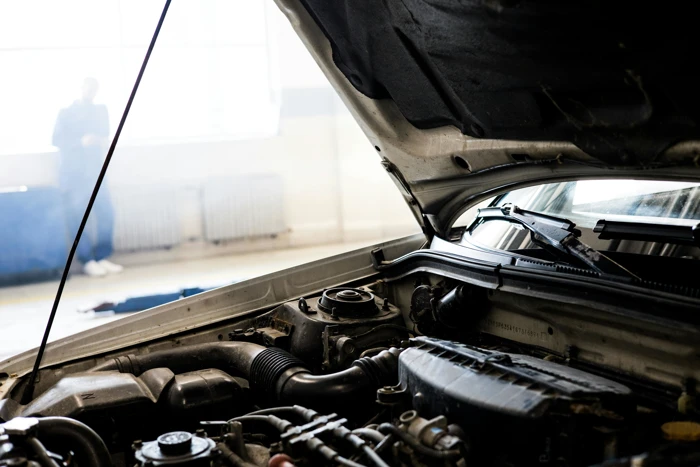 Motor