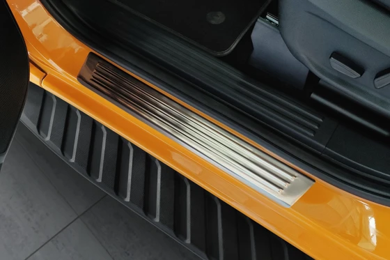 Einstiegsleisten, Edelstahl, Silber