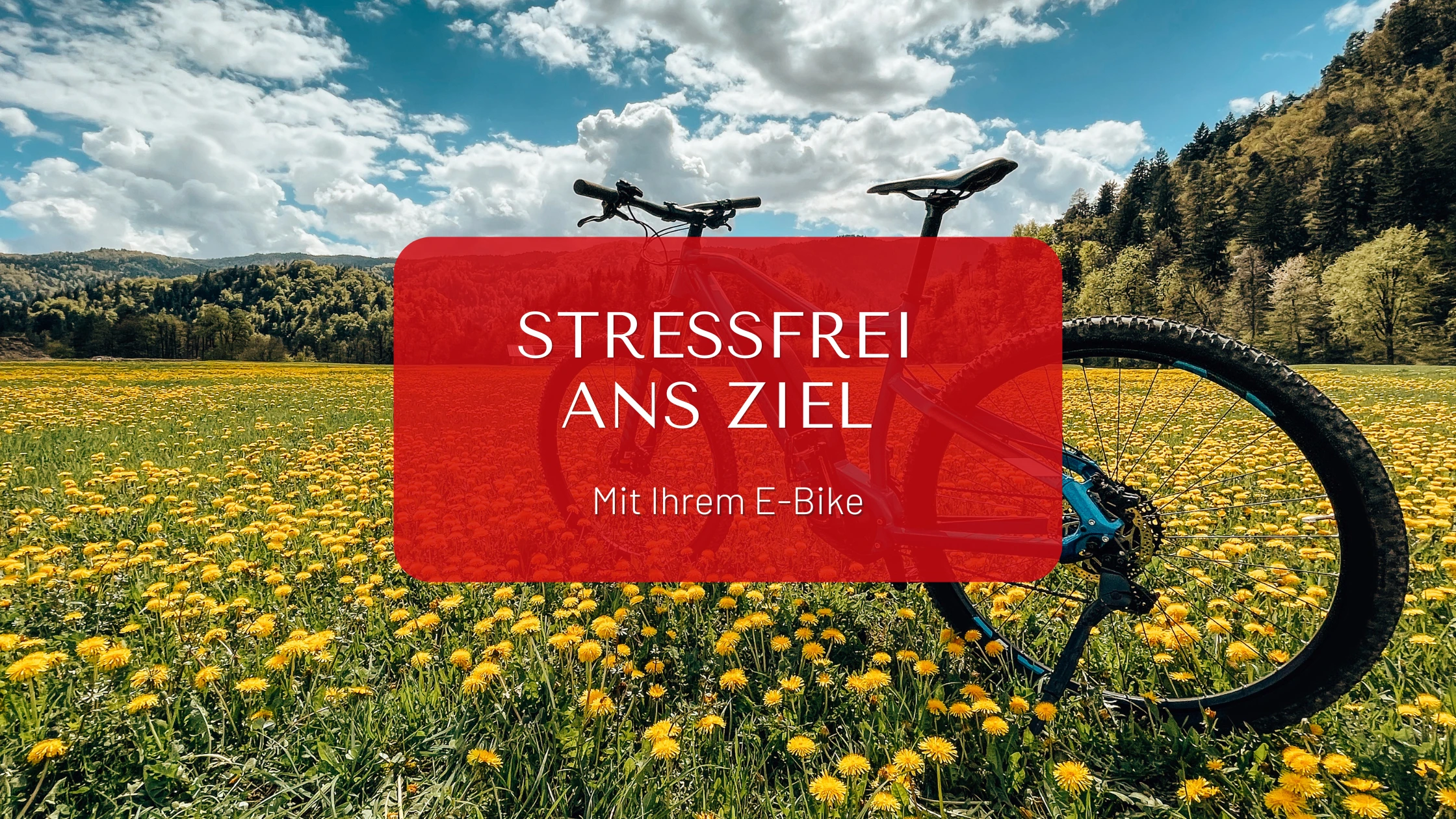 E Bike & Auto Blog Banner Bild