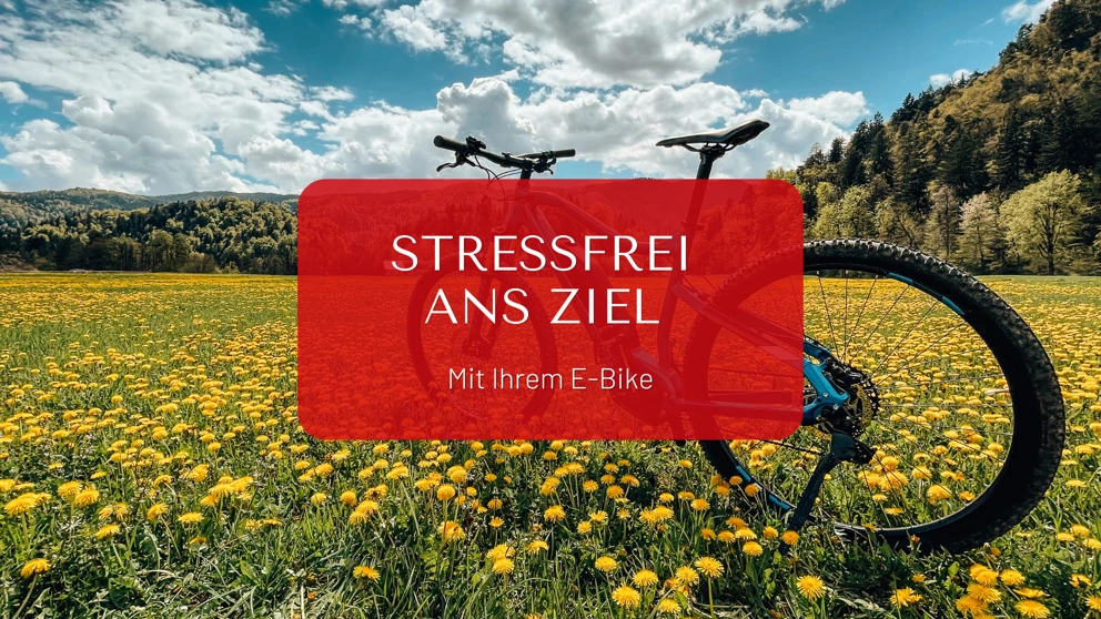 E Bike & Auto Blog Banner