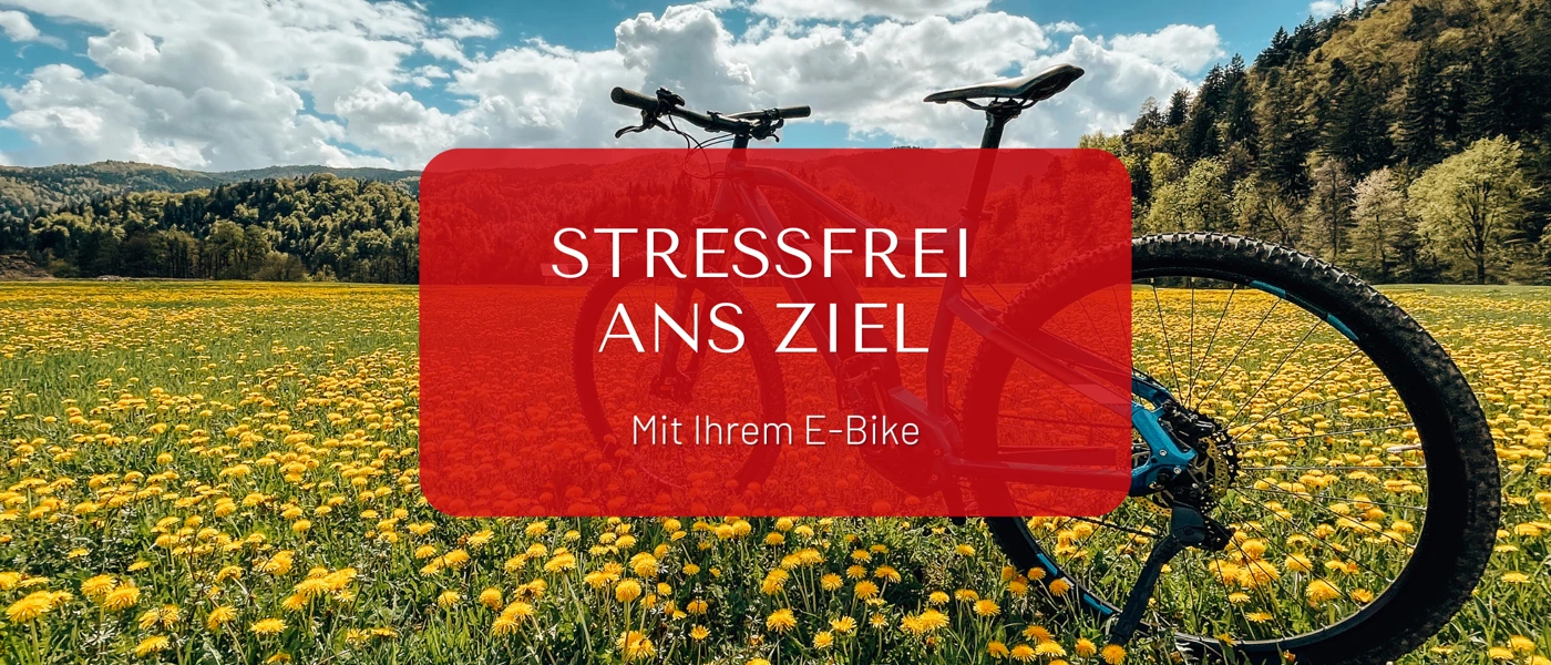 E Bike & Auto Blog Banner