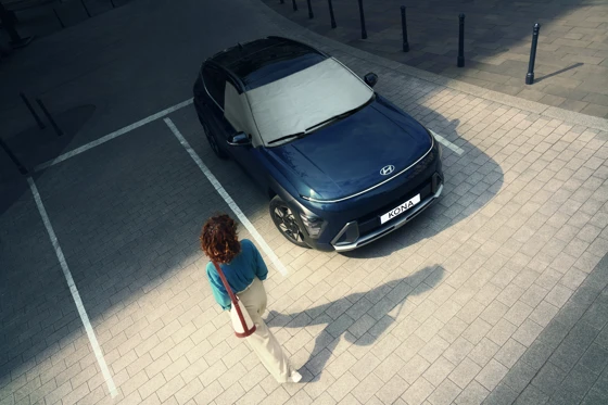 Eis- und Sonnenschutz (20)