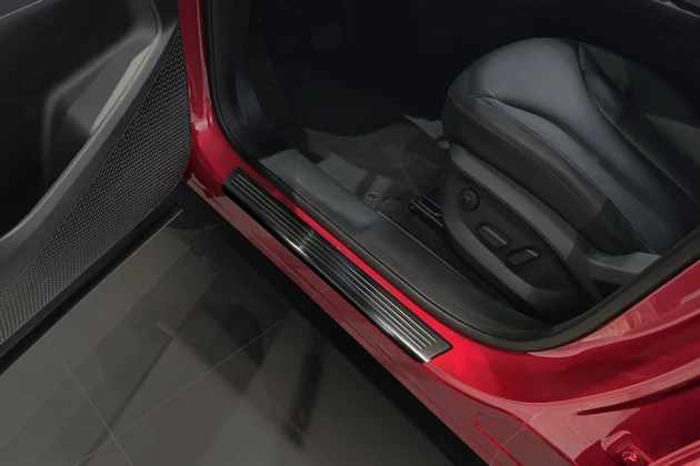 Einstiegsleisten, Edelstahl gebürstet, Anthrazit