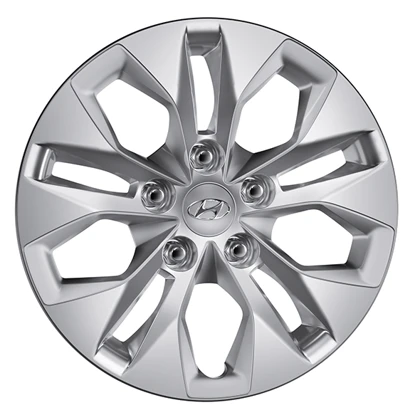 Stahlfelgenkappe 15 Zoll (2)