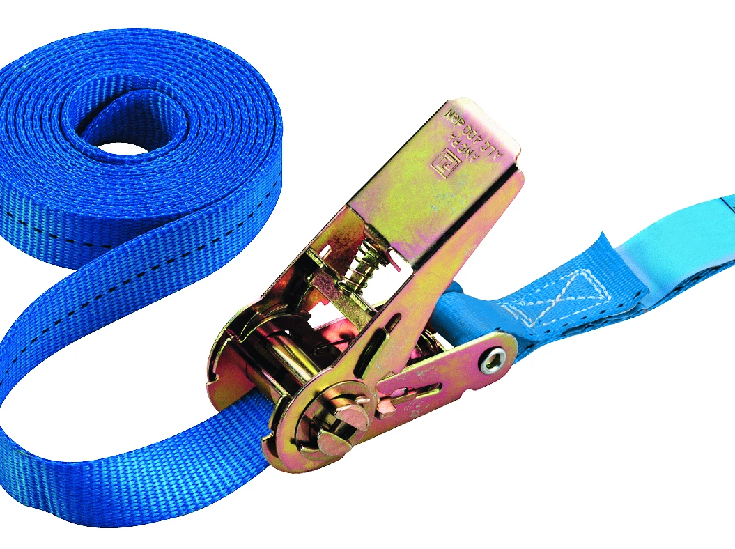 Zurrgurt mit Zurrhaken (4)