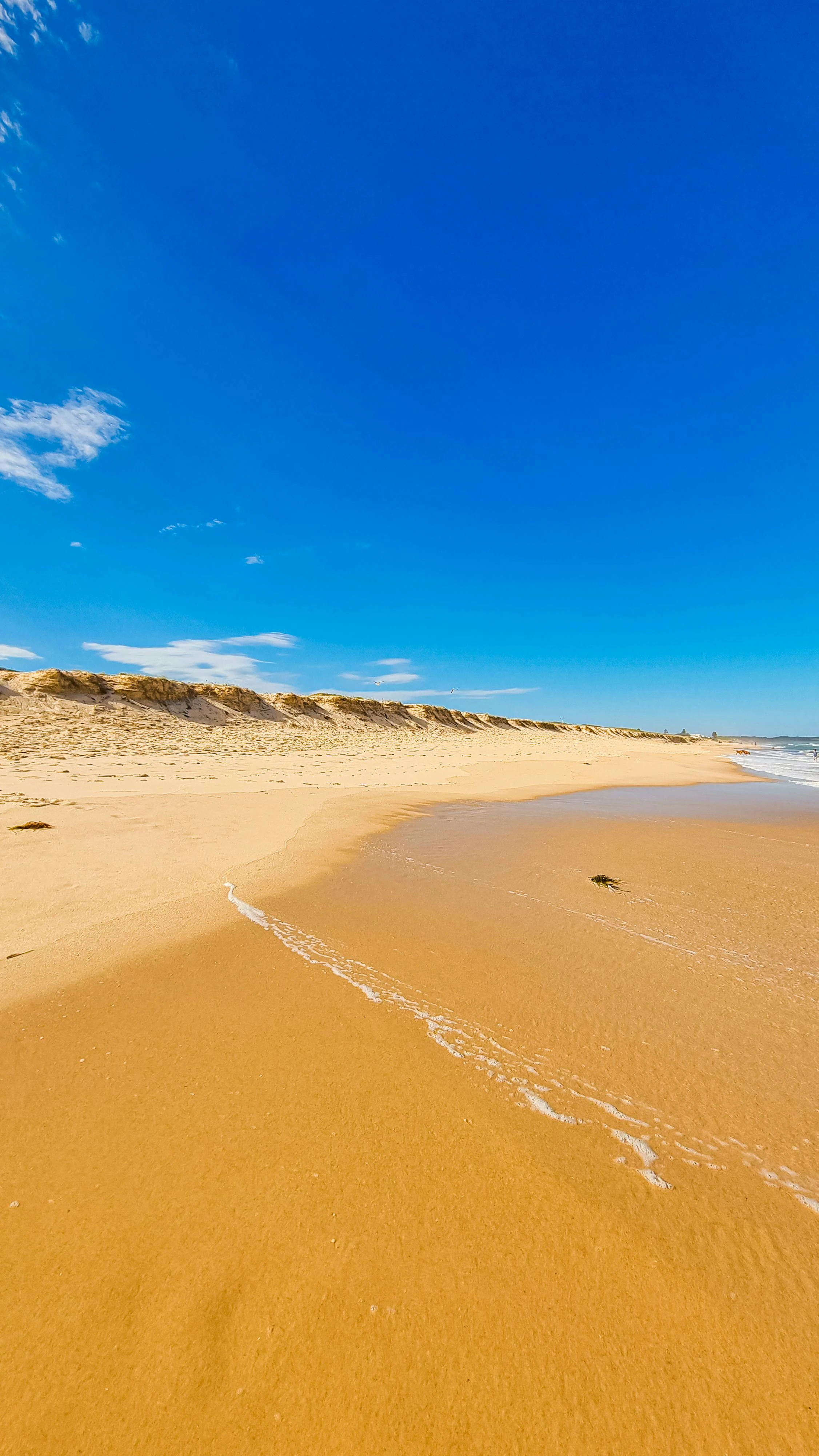 Strand