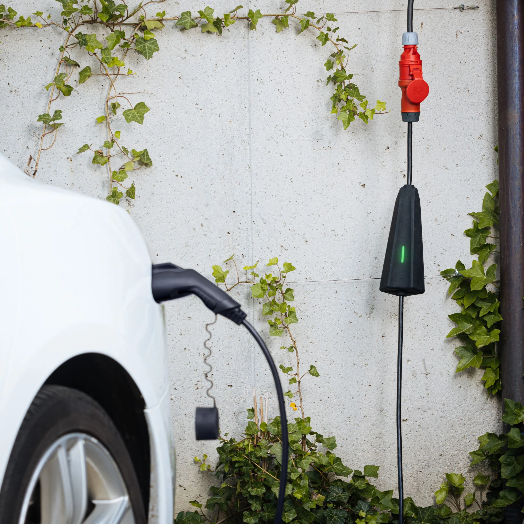 APNE20150419_b2 (11)