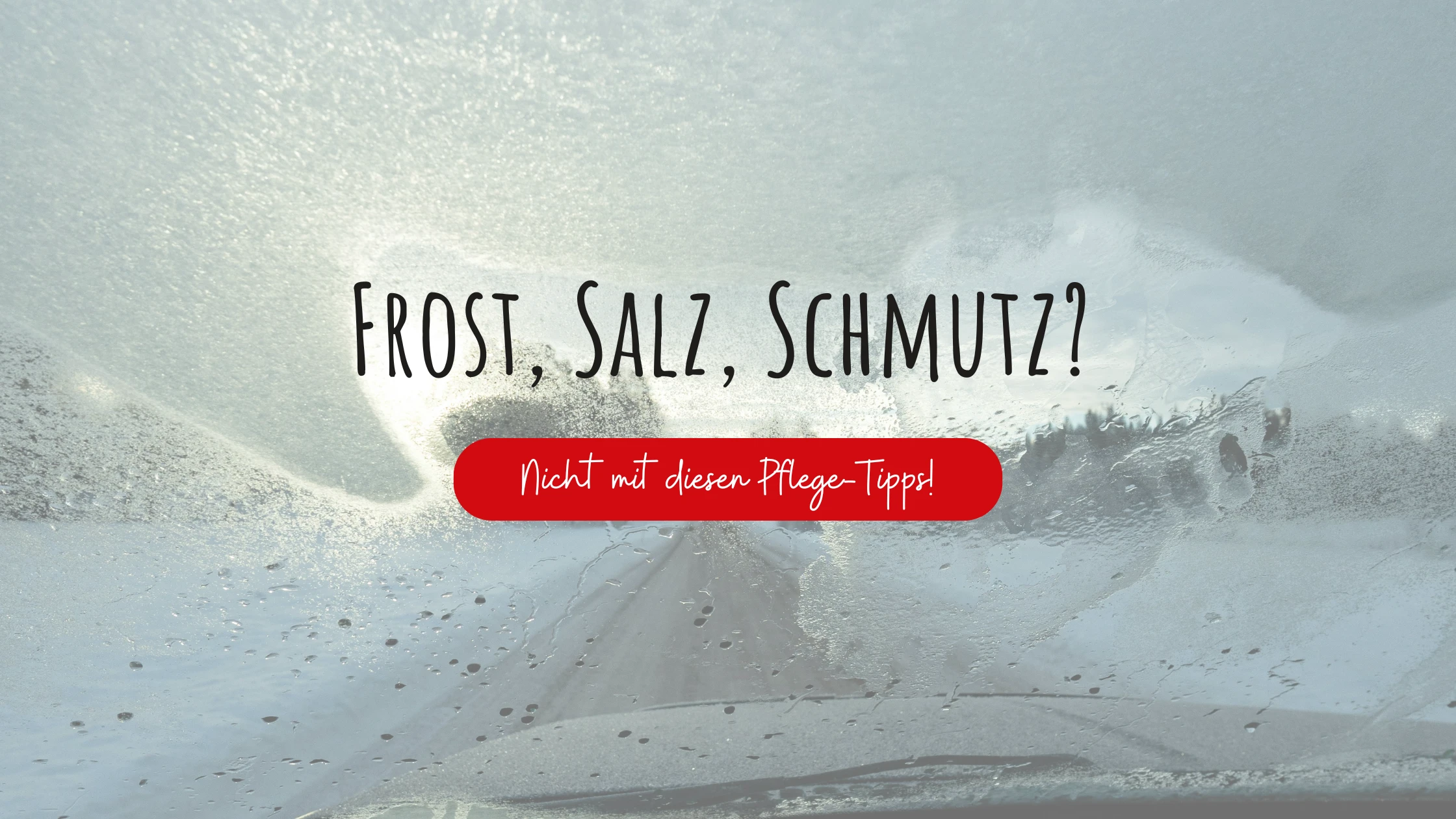 Pflegeprodukte Blog Banner III