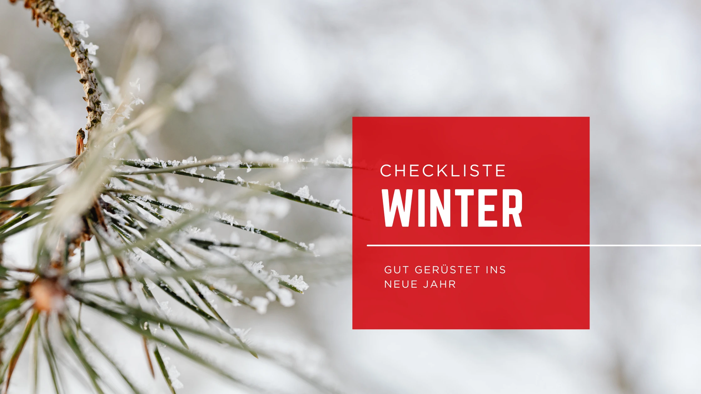 Winter Checkliste Blog Banner II Bild