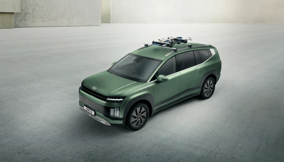 Ski- und Snowboardträger 600